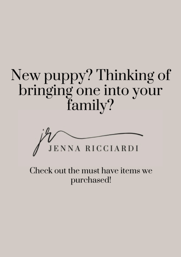 New Puppy? Thinking of Bringing One Into Your Family? Check Out the Must Have Items We Purchased!